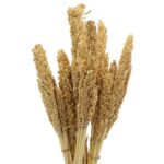 Cantal Grass Bunch - Natural - Image 10