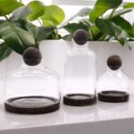 Medium Ball Top Terarium on Dark Tung Wood - 17x22cm - Image 3