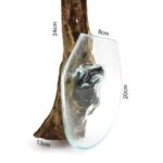 Molten Glass on Wood - Hanging Bowl - Image 11