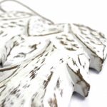 Hand Crafted Double Angel Wing - 31cm - Image 2