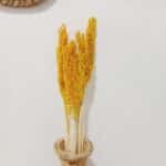 Cantal Grass Bunch - Amber - Image 4