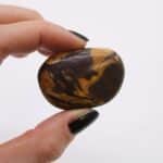 Bag of 6 Large African Tumble Stones - Picture Nguni - Image 2