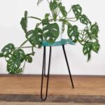 Albasia Wood Fish Stand - Turquoise - Image 3