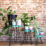Set of 3 Gamell Wood Plant Stands - Greenwash - Image 3