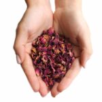 Rose Petals  (0.5KG) - Image 4