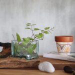 Molten Glass Tank on Wood with Stand - Small Bowl - Image 6