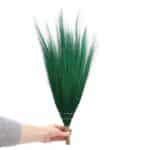 Set 4 - Pampas Long Broom - Vivid colours - Image 2
