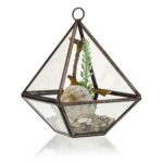 Glass Terrarium - Small Diamond - Image 3
