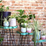 Set of 3 Gamell Wood Plant Stands - Greenwash - Image 5