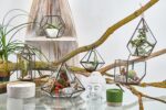 Glass Terrarium - Small Diamond - Image 4