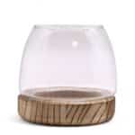 Small Terarium on Natural Tung Wood - 13x13cm - Image 2