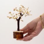 Lrg Gomati Chakra Circle Stone Trees - (60 stones) - Image 4