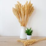 Cantal Grass Bunch - Natural - Image 4