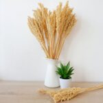 Cantal Grass Bunch - Natural - Image 3