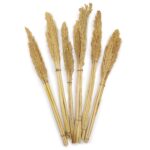 Cantal Grass Bunch - Natural - Image 2