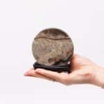 Guohua Picture Stones - Disc - 100mm (approx 140gm) - Image 2