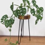 Albasia Wood Plant Stand - Natural & gold detail - Image 4