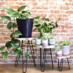Set of 3 Gamell Wood Plant Stands - Whitewash - Image 4