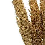 Cantal Grass Bunch - Natural - Image 7