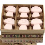 Gift Set of 6 Wax Melts  - Old Ginger - Image 3