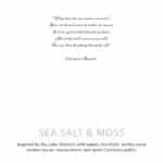 Agnes + Cat Botanical Soy Wax Candle - Seasalt & Moss - Image 6