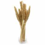 Cantal Grass Bunch - Natural - Image 8
