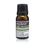 10 ml Eucalyptus Essential Oil
