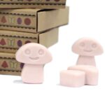 Gift Set of 6 Wax Melts  - Old Ginger - Image 5