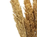 Cantal Grass Bunch - Natural - Image 9