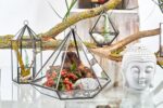 Glass Terrarium - Small Diamond - Image 6