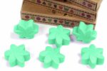 Gift Set of 6 Wax Melts  - Hidden Garden - Image 5