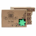 Gift Set of 6 Wax Melts  - Hidden Garden - Image 6