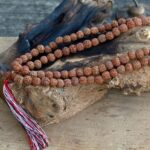 108 Rudraksha Mala - Natural - Image 4
