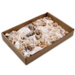 Mineral Specimens - Flower Calcite (approx 20 pieces) - Image 2
