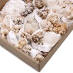 Mineral Specimens - Flower Calcite (approx 20 pieces) - Image 3