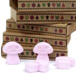 Gift Set of 6 Wax Melts  - Ylang Ylang - Image 5