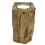Petrified Wood Candle Holder - Single Tall - Image 4