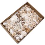 Mineral Specimens - Flower Calcite (approx 20 pieces) - Image 5