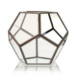 Glass Terrarium - Large Octagon - Image 2