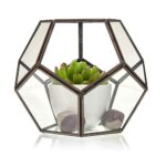 Glass Terrarium - Large Octagon - Image 3