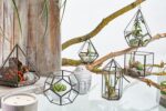 Glass Terrarium - Large Octagon - Image 5
