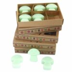 Gift Set of 6 Wax Melts  - Liquorice - Image 2