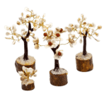 Gomati Chakra Circle Stone Trees - Set of 4