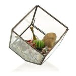 Glass Terrarium - Cube on Corner - Image 3