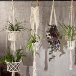 Macrame Pot Holder - Long With Ratten Hoop - Image 9