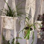 Macrame Pot Holder - Long With Ratten Hoop - Image 10
