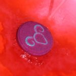 Set of Zodiac Bath Fizzers with Horoscope -  Aries - Image 4