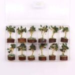 Mini Gemstone Trees On Wood Base - Green Aventurine (15 stones) - Image 3