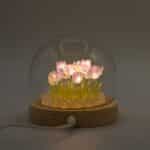 Floral Glow Garden Dome - 20 Tulips - LED USB - Image 4