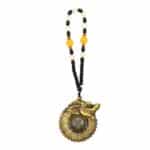 Feng Shui Hanging - Dragon Encirclement - Guardian